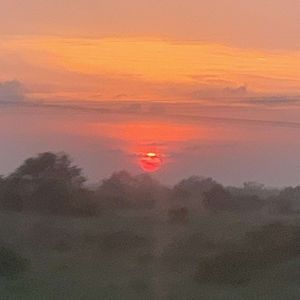 Meet your Posher, Jayden